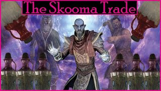 Analyzing the Skooma Trade in Skyrim  Skyrim Surveyors [upl. by Zeba102]