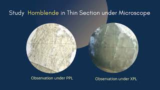 Hornblende Thin section under microscope  Amphibole cleavage Pleochroism  Optical Mineralogy [upl. by Ernst]