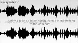 Beethovens Symphony no 2 Op36 Second Movement Part Two [upl. by Choong]