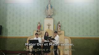 Salve Mater Misericordiae [upl. by Vezza]