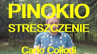 PINOKIO STRESZCZENIE  Carlo Collodi darmowy audiobook [upl. by Amaty]