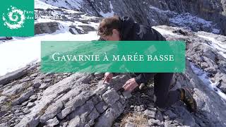 Gavarnie à marée basse [upl. by Anpas788]