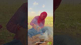 खेत की चाय 😍 kheti khetibadi youtubeshorts rajasthan villagelife desi culture chai tea [upl. by Jessey]