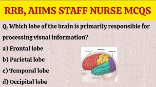 Centralnervoussystem RRB AIIMSstaff nurse Mcqsmedical nursingofficerexampart1 [upl. by Terhune]