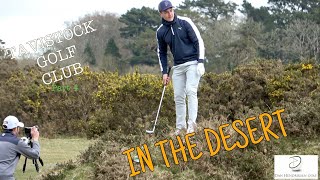 GOLF COURSE VLOG  TAVISTOCK GOLF CLUB  Part 4 [upl. by Notnyw429]