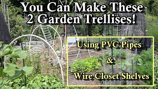 2 Cucumber amp Garden Plant Trellises You Can Make from Closet Wire Racks amp PVC Pipes Grow Vertically [upl. by Ayanaj]