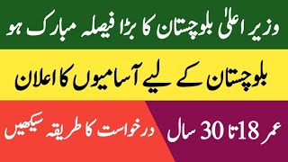 Balochistan Latest Jobs Today  Balochistan new jobs 2024  Pak Job Career 10 [upl. by Llenaj]