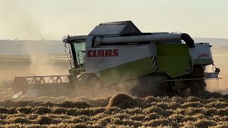 GETREIDEERNTE 2024 CLAAS LEXION 440 BEIM GERSTE DRESCHEN [upl. by Relyks]