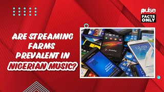 Are Streaming Farms Prevalent In Nigerian Music  Pulse Facts Only [upl. by Bjorn]