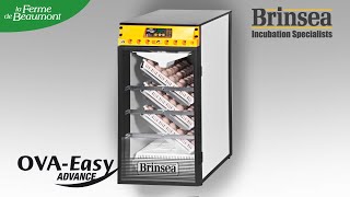 Couveuse Brinsea Ovaeasy 190  La couveuse grande capacité pour faire naître vos poussins [upl. by Taffy]