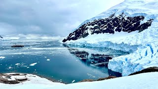 Seabourn Expedition Antarctica Feb 2023 [upl. by Aanas]