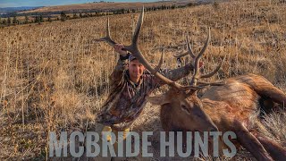 Archery Elk Hunting My Biggest Bull Full Story A Miracle Hunt [upl. by Ninnette]