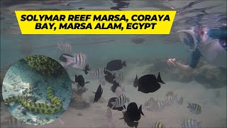 Snorkeling at Solymar Reef Marsa resort Coraya bay Marsa Alam Egypt [upl. by Seale320]