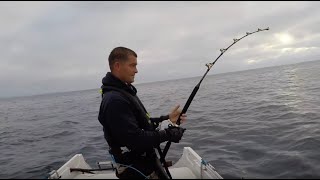 Two Bluefin Tuna Caught Solo on a 16ft Boat in the UK  Cornwall Sea Fishing  The Fish Locker [upl. by Bbor357]