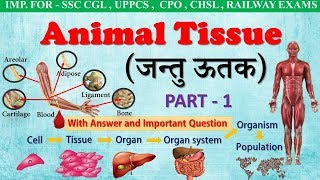 General science । Animal Tissue in Hindi । जन्तु ऊतक । Part1 । For all ssc exam NEET class 911 [upl. by Collete161]