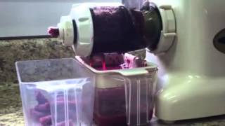 Crush and Squeeze10 lbs of muscadine grapes in less than 10 minutes with a wheatgrass juicer [upl. by Yelac]