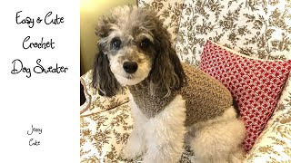 Easy amp Cute Crochet Dog Sweater Round 3 [upl. by Kammerer314]