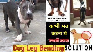 Solve 100  Dog Legs Bend and Back Problem [upl. by Kane]