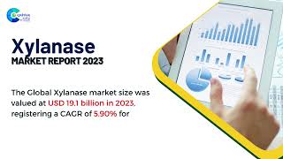 Xylanase Market Report 2023  Forecast Market Size amp Growth [upl. by Cristin]