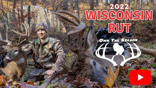 Rut Deer Hunt in Wisconsin [upl. by Trenna]