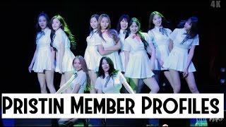 Pristin  MEMBER PROFILES voices looks videos [upl. by Rillis]