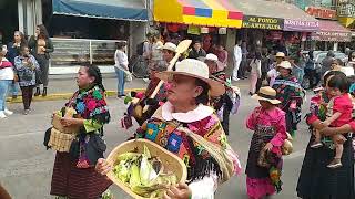 Desfile de la feria de Ixtlahuaca de Rayón estado de México [upl. by Niwdog]