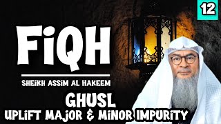 Fiqh  Lecture 12  Ghusl  Uplift Major amp Minor Impurity  assim al hakeem JAL [upl. by Salli23]