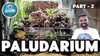 Paludarium build with waterfall  Part 2 [upl. by Colbert]