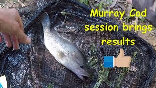 Murray cod session brings RESULTS [upl. by Katrine]