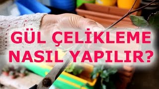 Gül çelikleme nasıl yapılır  Canım Anne Canım Anne [upl. by Swainson8]