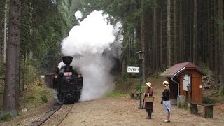 U 37002 se smíšeným vlakem na cestě do Nové Bystřice 22 4 2017 [upl. by Hieronymus]