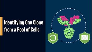 Identifying One Clone from a Pool of Cells [upl. by Nibot]