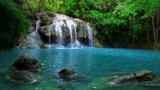 Waterfall Clip [upl. by Dearman]