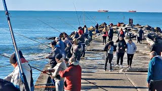 ESTO OCURRIO HOY CON LA PESCA EN MAR DEL PLATA ARGENTINA [upl. by Rew]