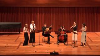 Concerto II for Four Recorders in D Minor Vivace amp Allegro  Johann Christian Schickhardt [upl. by Itra]