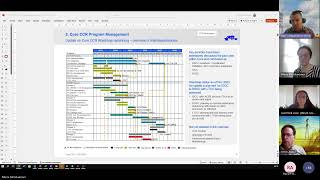 Core CG Meeting  Program management and IDCC 20240312 [upl. by Ardnoyek]