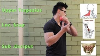 DIY NECK MASSAGE POSTURE PAIN amp MOBILITY [upl. by Waverley836]