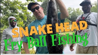 Snake Head Fry Ball Fishing [upl. by Emsoc879]