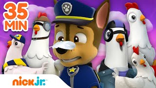 PAW PAtrol  35 MINUTOS de Las mejores aventuras de Chickaletta 🐥  Nick Jr en Español [upl. by Arit]