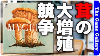 【マイセリア】増殖する茸の生存競争。胞子を出し合うプレイヤーの駆け引きが熱い  ボードゲーム レビュー [upl. by Nestor]