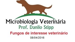 Micro Vet 20152 Aula 11  Fungos de interesse veterinário [upl. by Noslien]