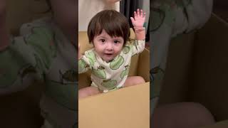 cute Finnish baby Box 💕Hailey Baby Fun in Cardboard shorts cutebaby tiktok status [upl. by Neirrad]