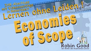 Economies of Scope [upl. by Wittenburg777]