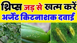 Thrips control insecticide  थ्रिप्स को कैसे रोकें  thrips ki dwai  Pyaj  mirch [upl. by Zoa]