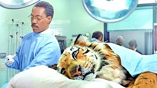 Dr Dolittle 2 Movie Explained in Hindi Urdu  Family Comedy Film summarized in हिन्दीاردو [upl. by Koffler]