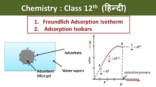 Freundlich Adsorption Isotherm And Adsorption Isobars Hindi  Class 12  Chemistry [upl. by Karl]