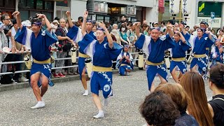 Awa Odori 2024  阿波踊り [upl. by Samtsirhc]