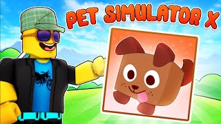 LOGGY BECOMING A BILLIONAIRE IN PET SIMULATOR X [upl. by Avek]