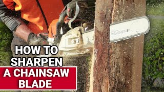 How To Sharpen A Chainsaw Blade  Ace Hardware [upl. by Naeerb]