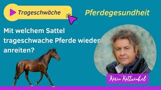 Wiederanreiten trageschwacher Pferde  Pferdegesundheit  Karin Kattwinkel [upl. by Dame992]